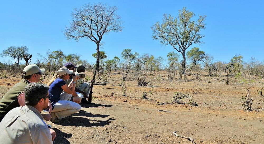 Hoyo Hoyo Safari Lodge Mluwati Concession Dış mekan fotoğraf