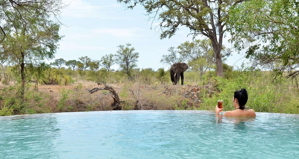 Hoyo Hoyo Safari Lodge Mluwati Concession Dış mekan fotoğraf