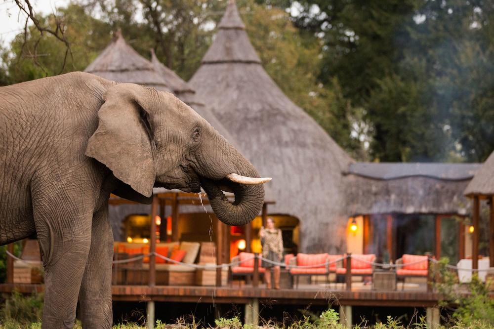 Hoyo Hoyo Safari Lodge Mluwati Concession Dış mekan fotoğraf