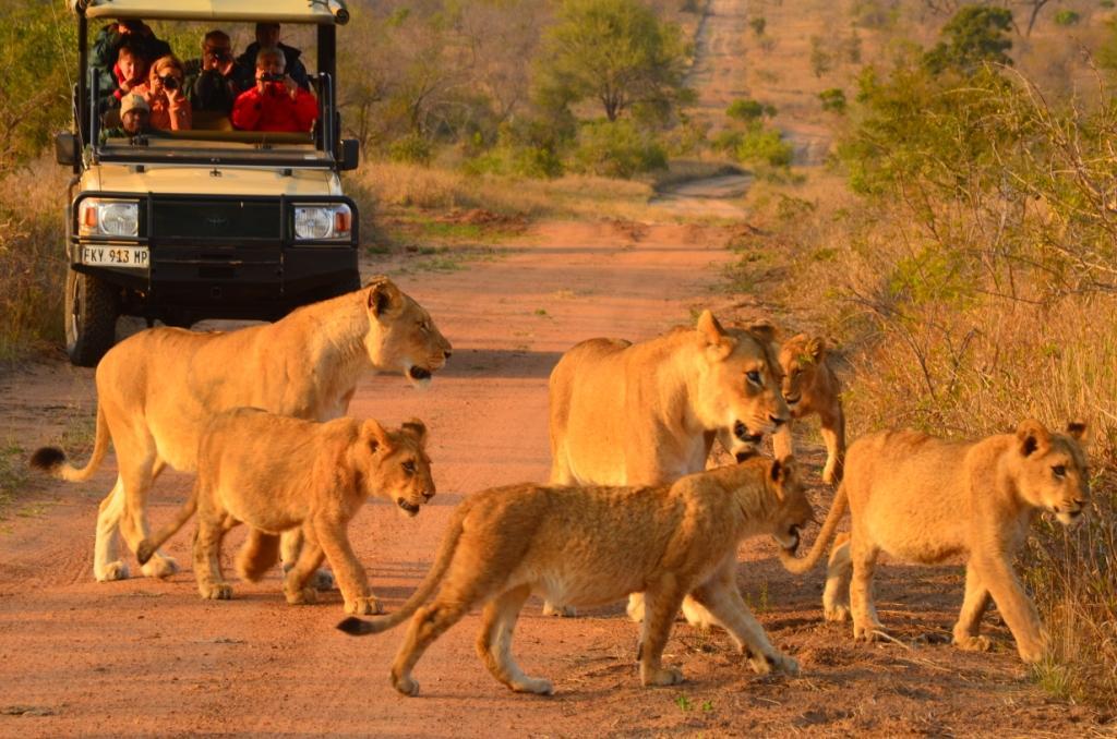 Hoyo Hoyo Safari Lodge Mluwati Concession Dış mekan fotoğraf