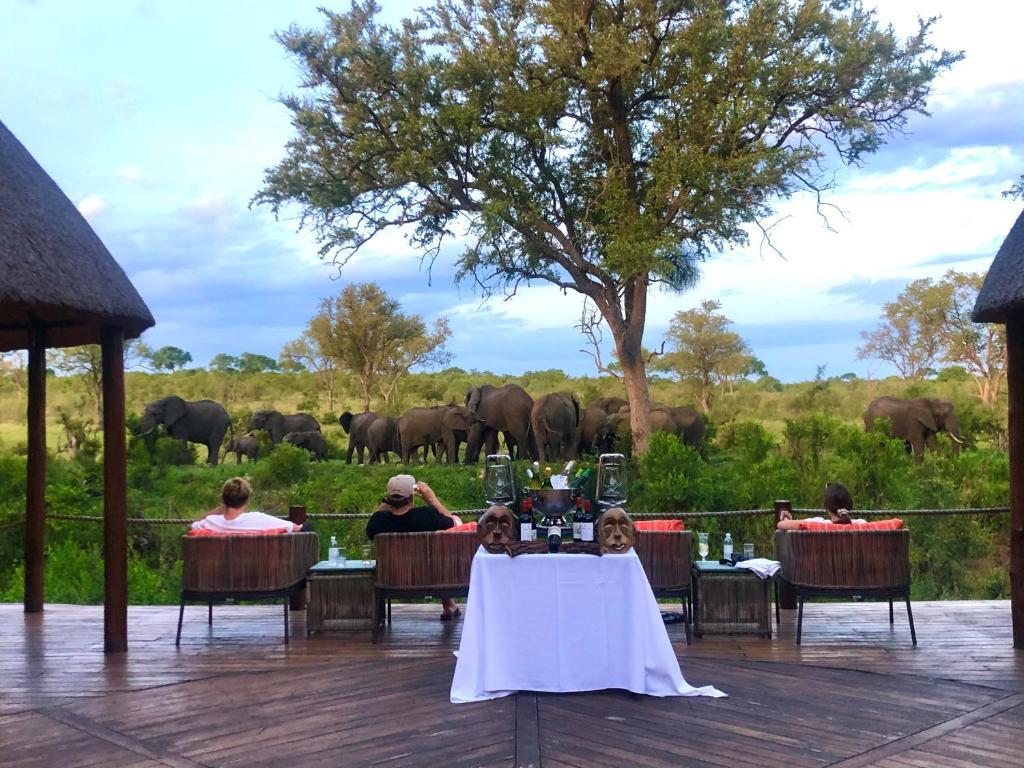 Hoyo Hoyo Safari Lodge Mluwati Concession Dış mekan fotoğraf