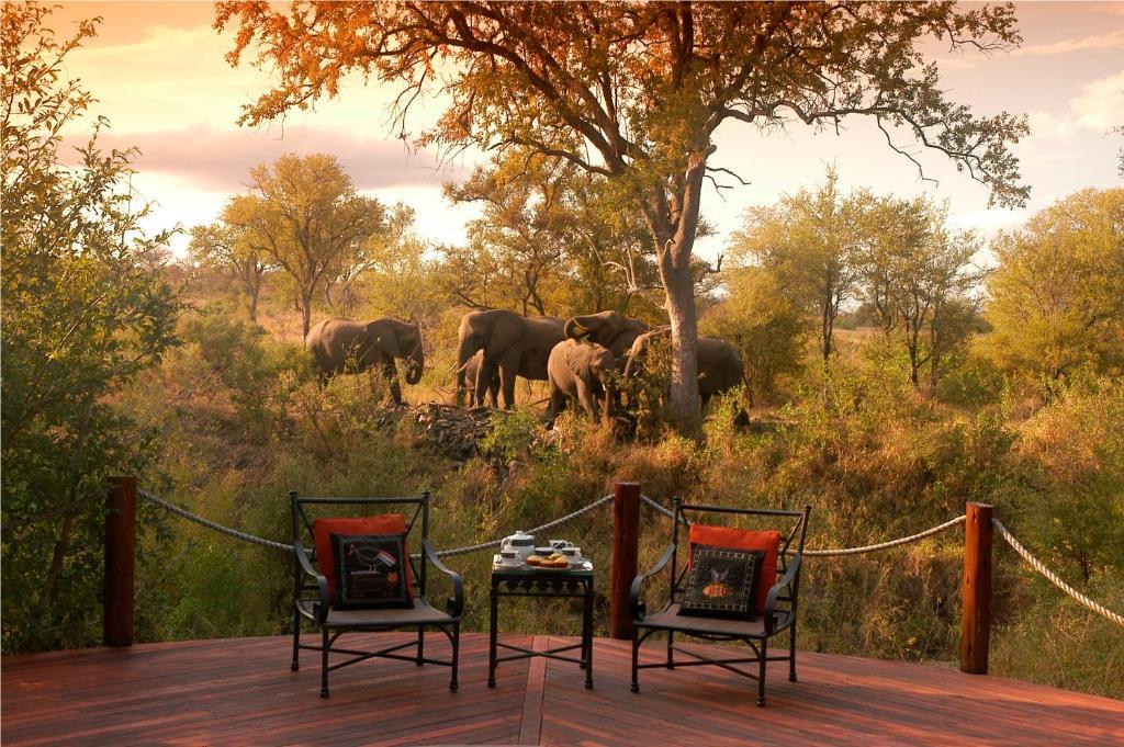 Hoyo Hoyo Safari Lodge Mluwati Concession Dış mekan fotoğraf